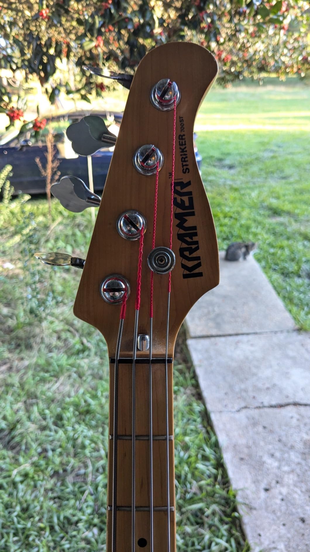 Rotosound RS66LD Swing Bass Electric Bass 4 String Set (45-105) - Customer Photo 1