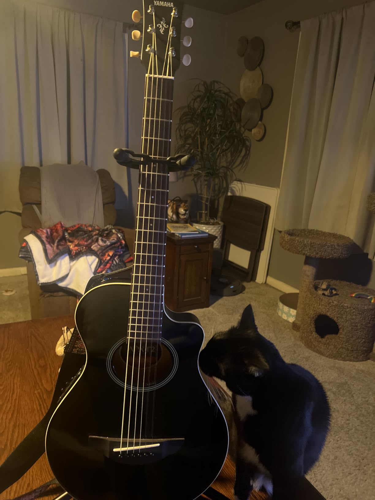 Yamaha APXT2 3/4-Size Acoustic-Electric Guitar - Black Customer Review Yamaha APXT2 3/4-Size Acoustic-Electric Guitar - Black - Customer Photo 1