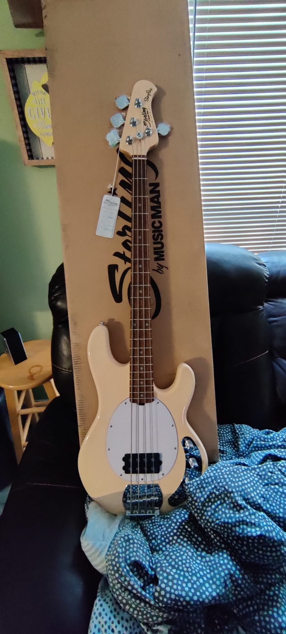 Sterling by Music Man StingRay Ray5 Bass Guitar in Walnut Satin, 5-String Customer Review Sterling by Music Man StingRay Ray5 Bass Guitar in Walnut Satin, 5-String - Customer Photo 1