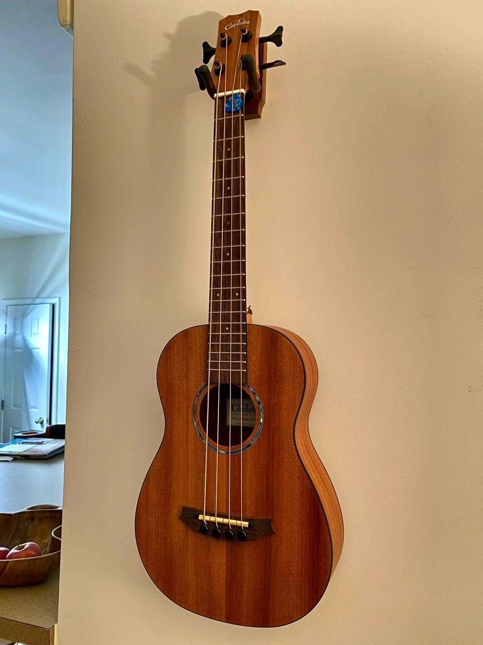 Cordoba Mini II Bass MH-E, Mahogany, Small Body, Acoustic-Electric Bass Guitar - Customer Photo 1
