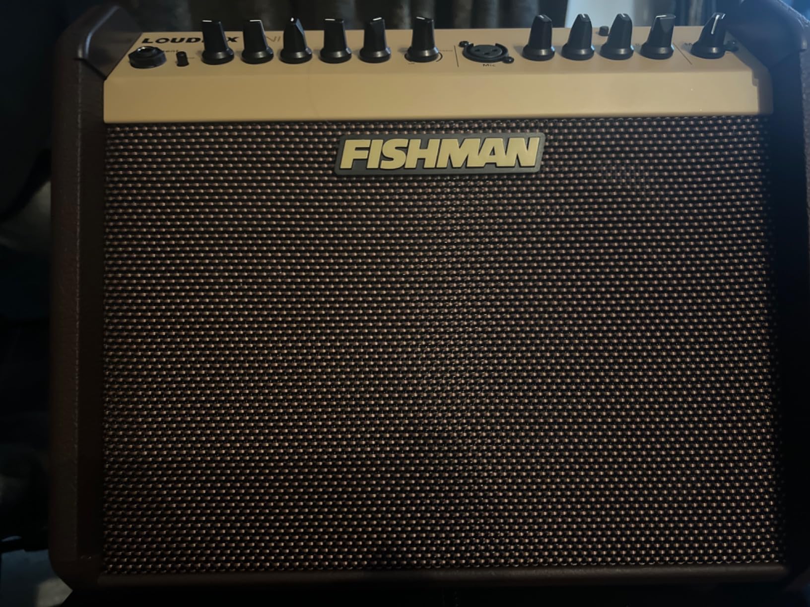Fishman Loudbox Mini BT 60-Watt 1x6.5 Inches Acoustic Combo - Customer Photo 1